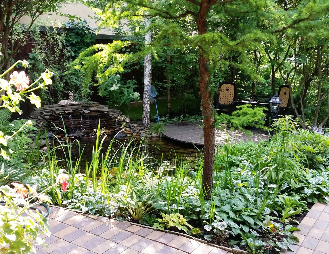 Проект Горки 2